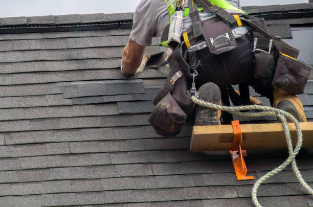 Best Storm Damage Roof Repair  in Cambridge, MN