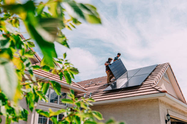 Best Roof Gutter Cleaning  in Cambridge, MN